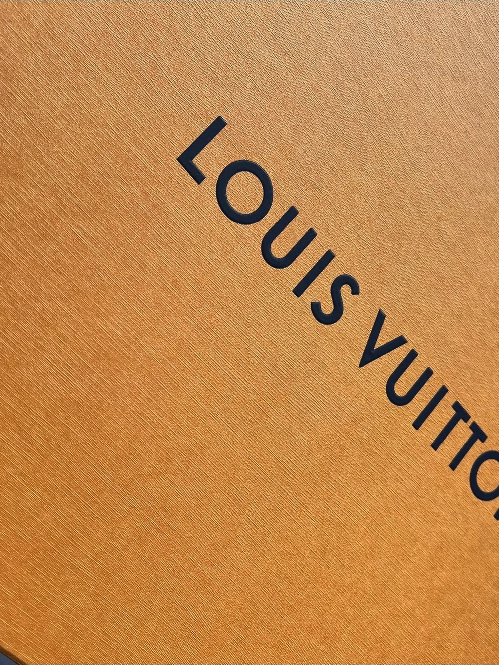 Louis Vuitton Black Pebbled Leather Men’s Backpack
